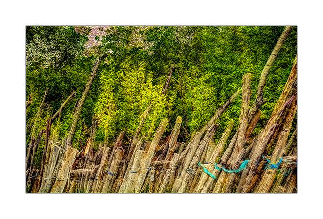 خداوند شبان من است ...